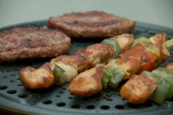 Cobb Premier+ Gas Gasbarbecue - Grijs -Bo-Camp Verkoopwinkel 1263 1900 dsc 0474