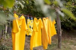 Easy Camp Eclipse 300 Tunneltent - 3 Persoons - Groen -Bo-Camp Verkoopwinkel 1267 1900 waslijn 1