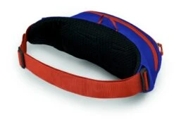 Osprey Daylite Heuptas - Blauw/Oranje -Bo-Camp Verkoopwinkel 1900 1425 daylitewaist s23 sideback silverliningblueberry 10005144