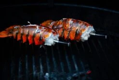 MEATER Block Met 4 Draadloze Thermometers -Bo-Camp Verkoopwinkel 20190625 mg 6541