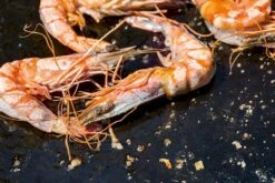 OFYR Kookboek -Bo-Camp Verkoopwinkel 800 1200 cb no1 nl fr 3