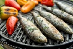 CADAC Grillo Chef 40 Gasbarbecue - BBQ/Dome -Bo-Camp Verkoopwinkel 801 1200 cadac grillo chef 40 eten