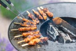 RedFire ONYX Classic Vuurschaal Bbq - 80 Cm -Bo-Camp Verkoopwinkel 85208 lifestyle 06 1