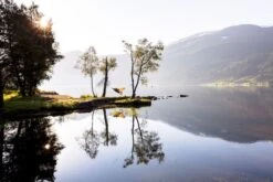 Amazonas Silk Traveller 1 Persoons Reishangmat - Techno 9 Amazonas Silk Traveller 1 Persoons Reishangmat - Techno -Bo-Camp Verkoopwinkel a181 16 op 01 resultaat